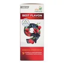 VIVA NATURA BEST FLAVON SZELLEMI TELJ.